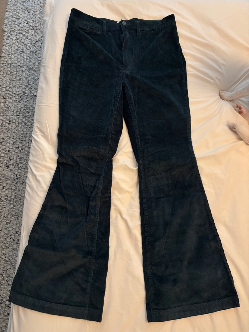 Madewell dark green flared corduroy pants
